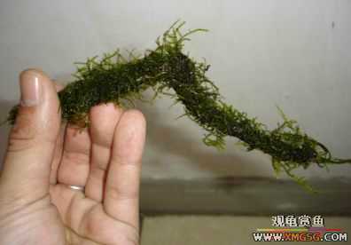 07.02.04��̳�����տ���