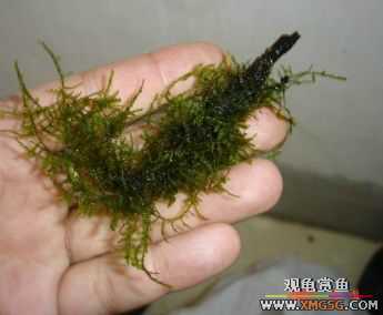 07.02.04��̳�����տ���