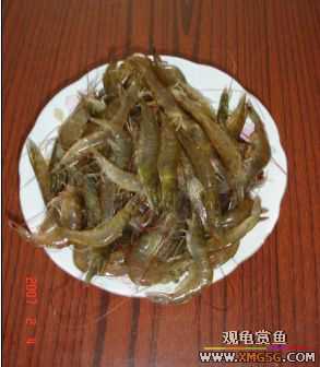 07.02.04��̳�����տ���