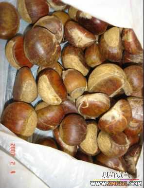 07.02.04��̳�����տ���