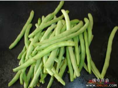 07.02.04��̳�����տ���