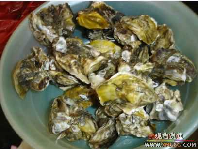 07.02.04��̳�����տ���