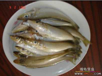 07.02.04��̳�����տ���