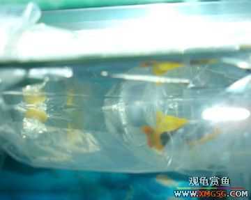 07.02.04��̳�����տ���