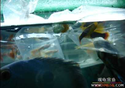 07.02.04��̳�����տ���