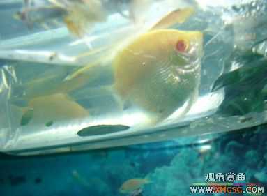 07.02.04��̳�����տ���