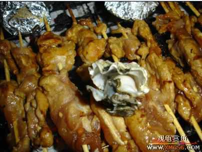 07.02.04��̳�����տ���