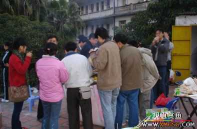 07.02.04��̳�����տ���