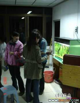 07.02.04��̳�����տ���