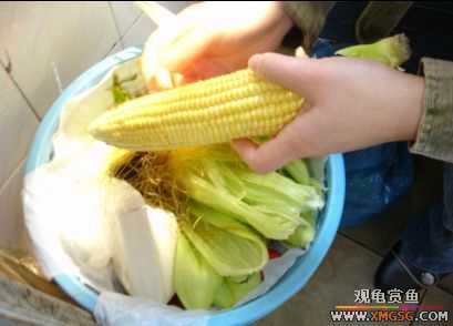 07.02.04��̳�����տ���