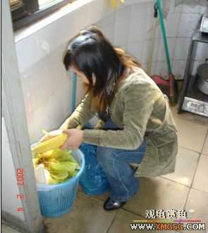 07.02.04��̳�����տ���