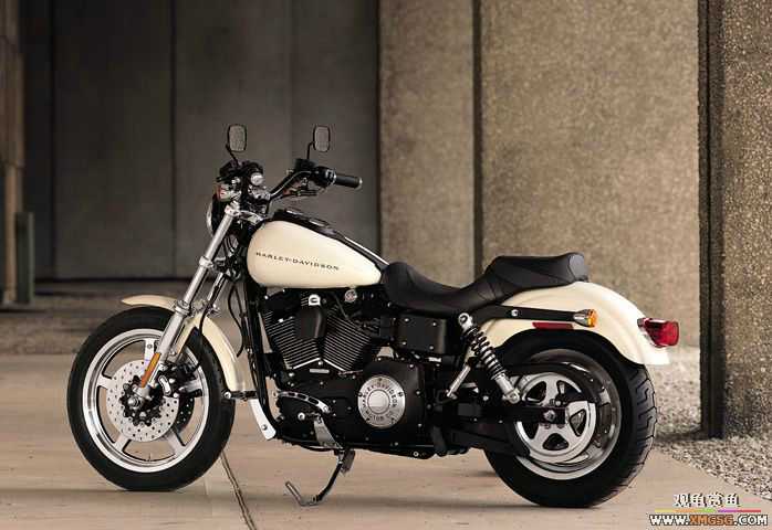 �����ɣ�Ĺ���Ħ�� --��ʿ����˵˧����