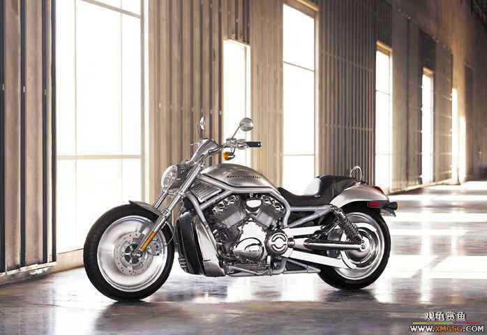 �����ɣ�Ĺ���Ħ�� --��ʿ����˵˧����