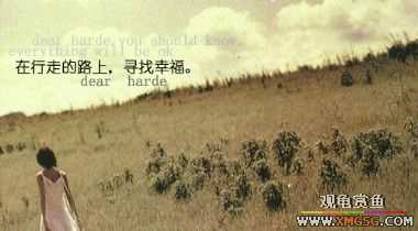 ����һ���������ʴ�