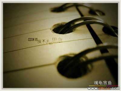 ����һ���������ʴ�