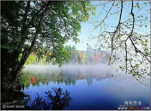 �����ĸо�