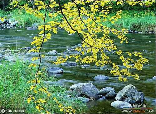 �����ĸо�