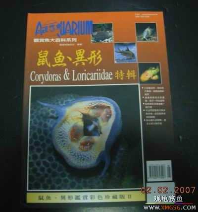 ���鵽����̨��������ٿƣ�2.1