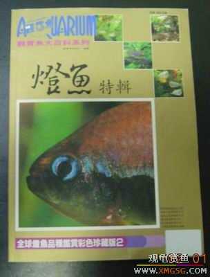 ���鵽����̨��������ٿƣ�2.1