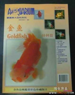 ���鵽����̨��������ٿƣ�2.1