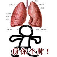 [ע��]��������Ⱥ��Ṥ������