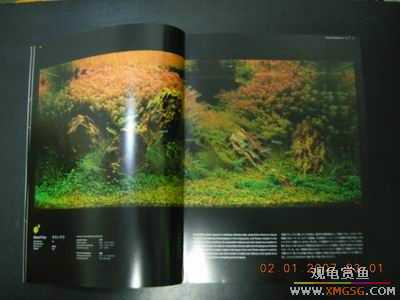 ���鵽����̨��������ٿƣ�2.1