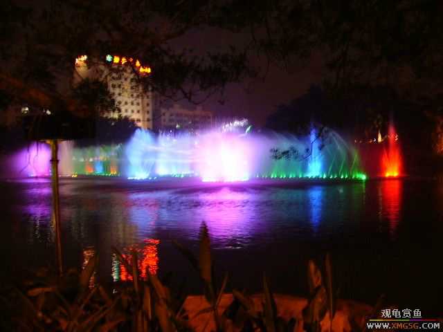 ���ڵ�ҹ��