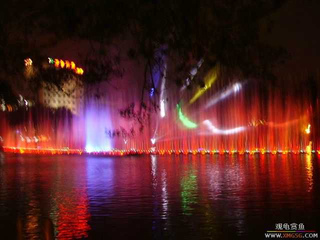 ���ڵ�ҹ��