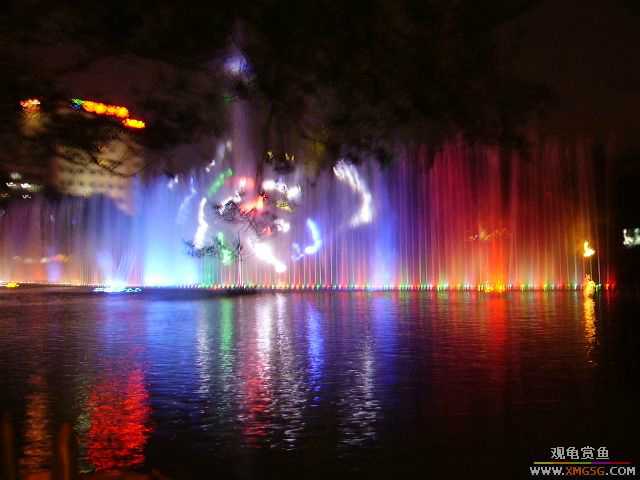 ���ڵ�ҹ��