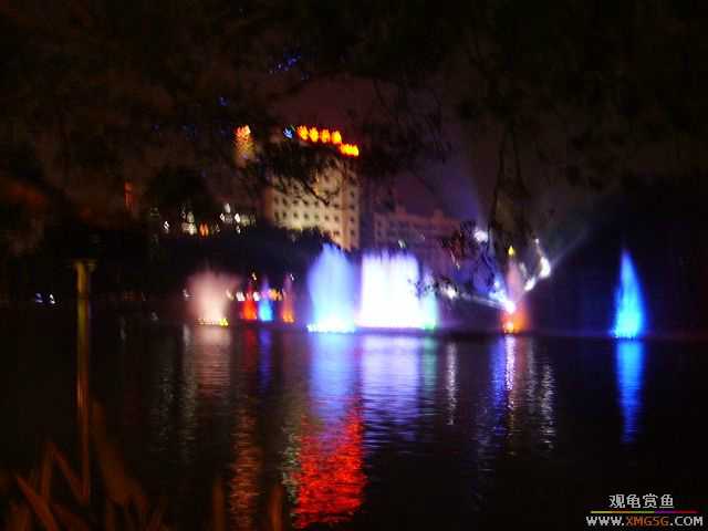 ���ڵ�ҹ��