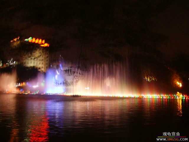 ���ڵ�ҹ��