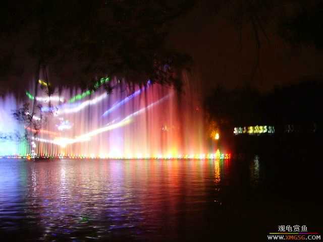 ���ڵ�ҹ��