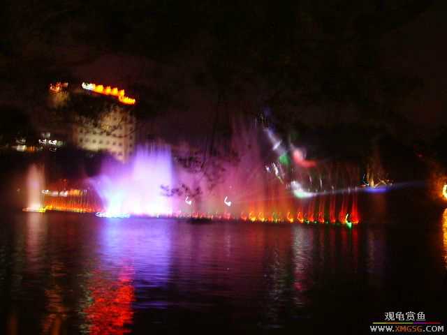 ���ڵ�ҹ��