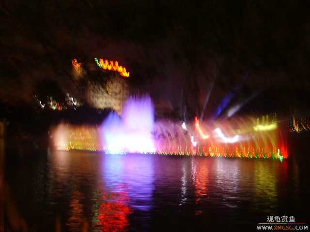 ���ڵ�ҹ��