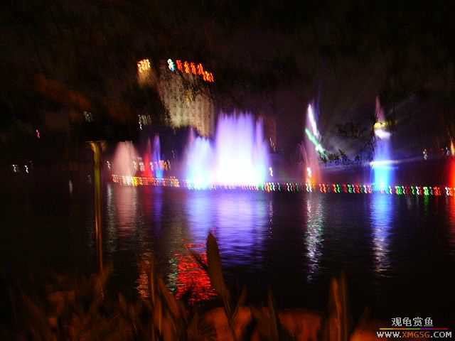 ���ڵ�ҹ��