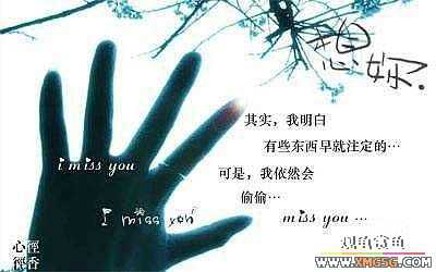 [ԭ��][��ͼ]ԭ��ֻ�����