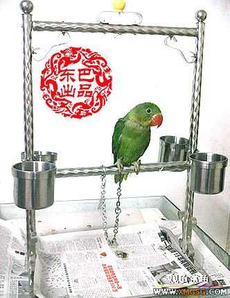 ����ͷ����ֻ����ɽ������