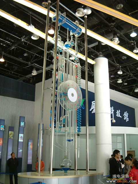 �޽�����