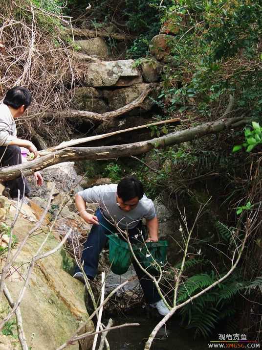 ��ʵ��һ��