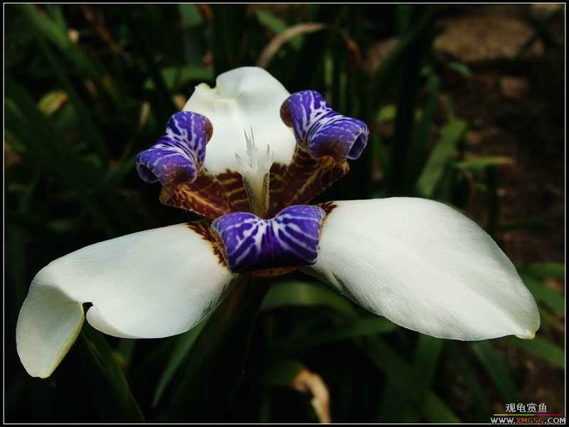 ��ʵ��һ��