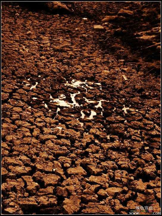 ��ʵ��һ��