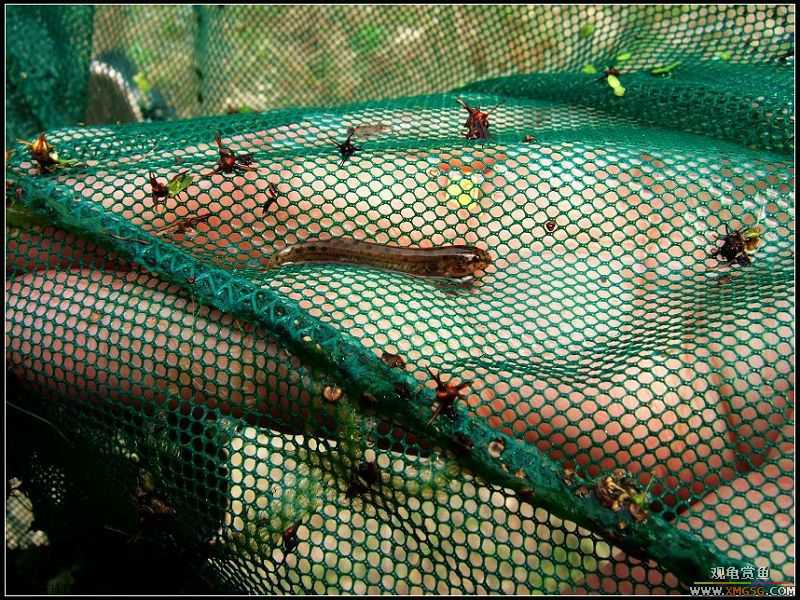 ��ʵ��һ��