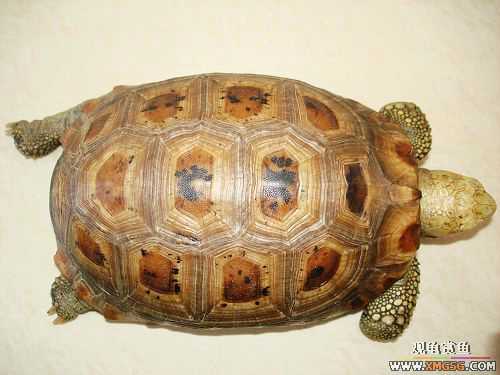 ��һ�ԣ��������Ҳ����