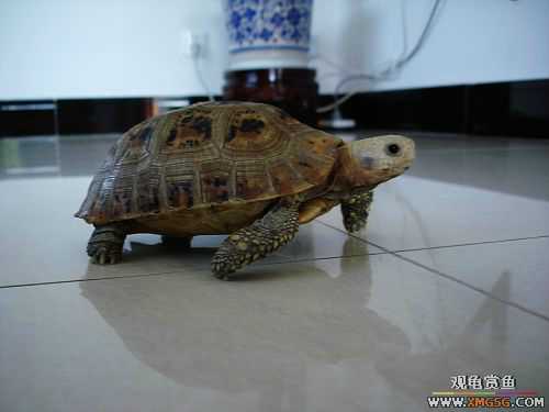 ��һ�ԣ��������Ҳ����