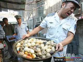 �ֱ�ʮ���ж�С��