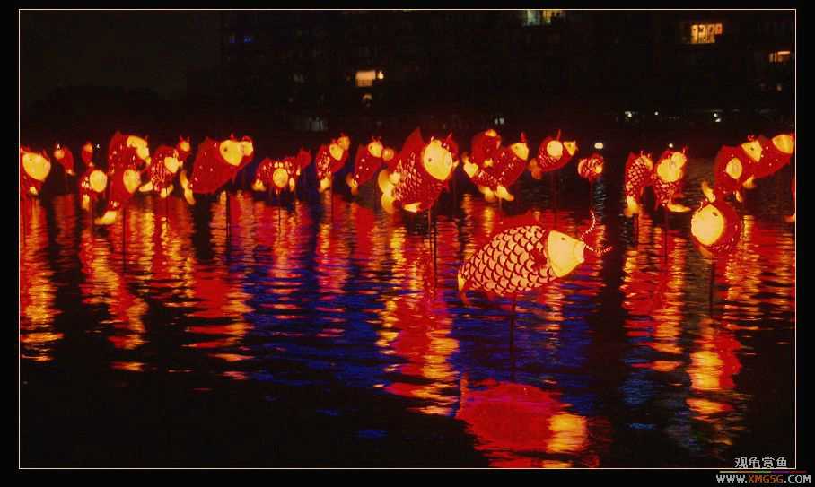 �����޵�չ