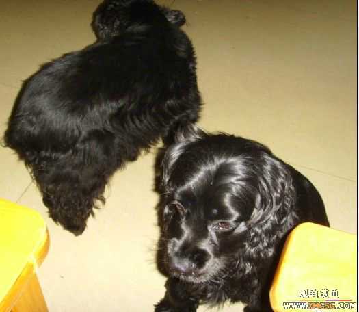 [ԭ��]�͹��������28Сʱ~