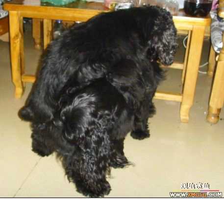 [ԭ��]�͹��������28Сʱ~