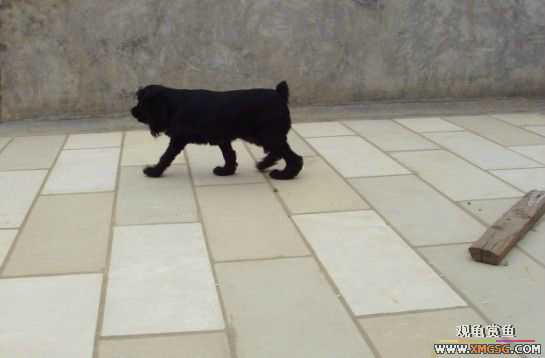 [ԭ��]�͹��������28Сʱ~