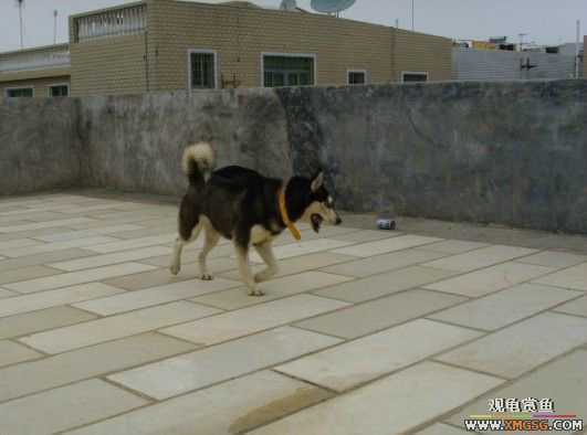 [ԭ��]�͹��������28Сʱ~